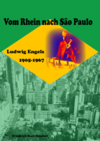 Vom Rhein nach Sao Paulo. Friedrich-Karl Hebeker (2016)